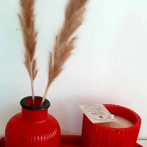 Κεραμικό σετ ΒΑΖΟ ΠΙΑΤΕΛΑ ΚΕΡΙ ΣΕ ΒΑΖΑΚΙ ΚΟΚΚΙΝΟ